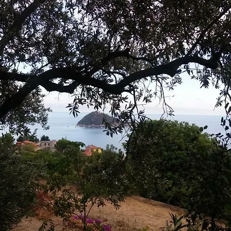 Apartment Gli Ulivi Al Mare *